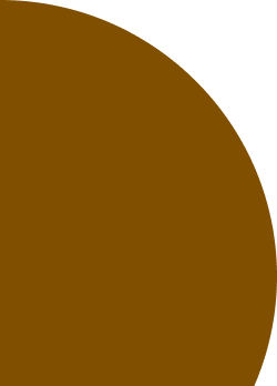 illustration quarter ellipse brown