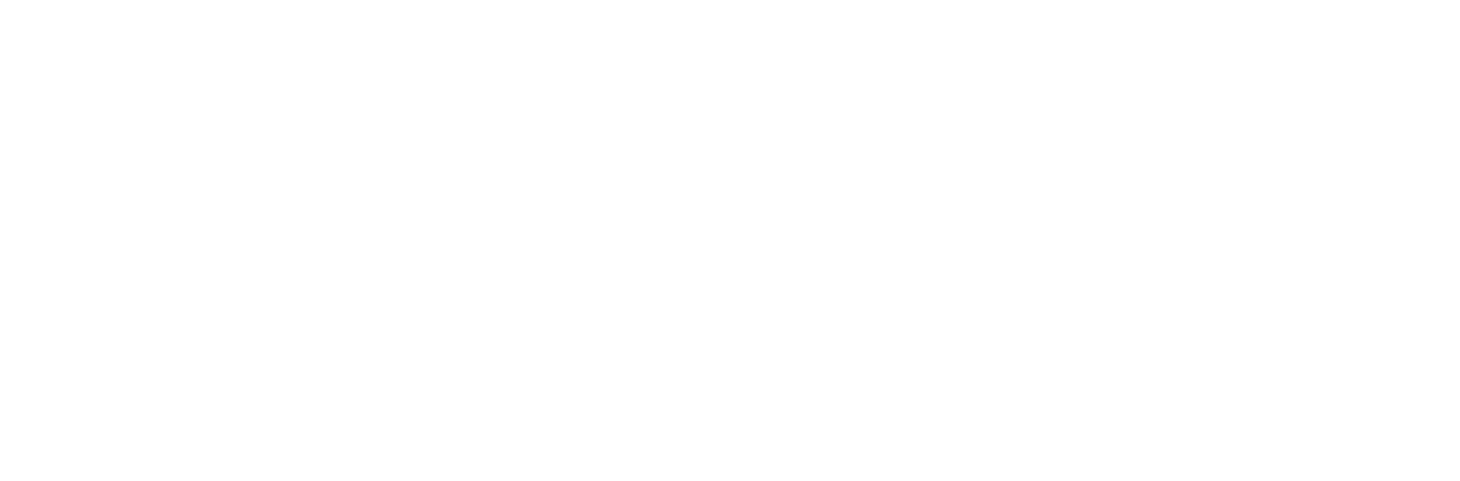 idd logo